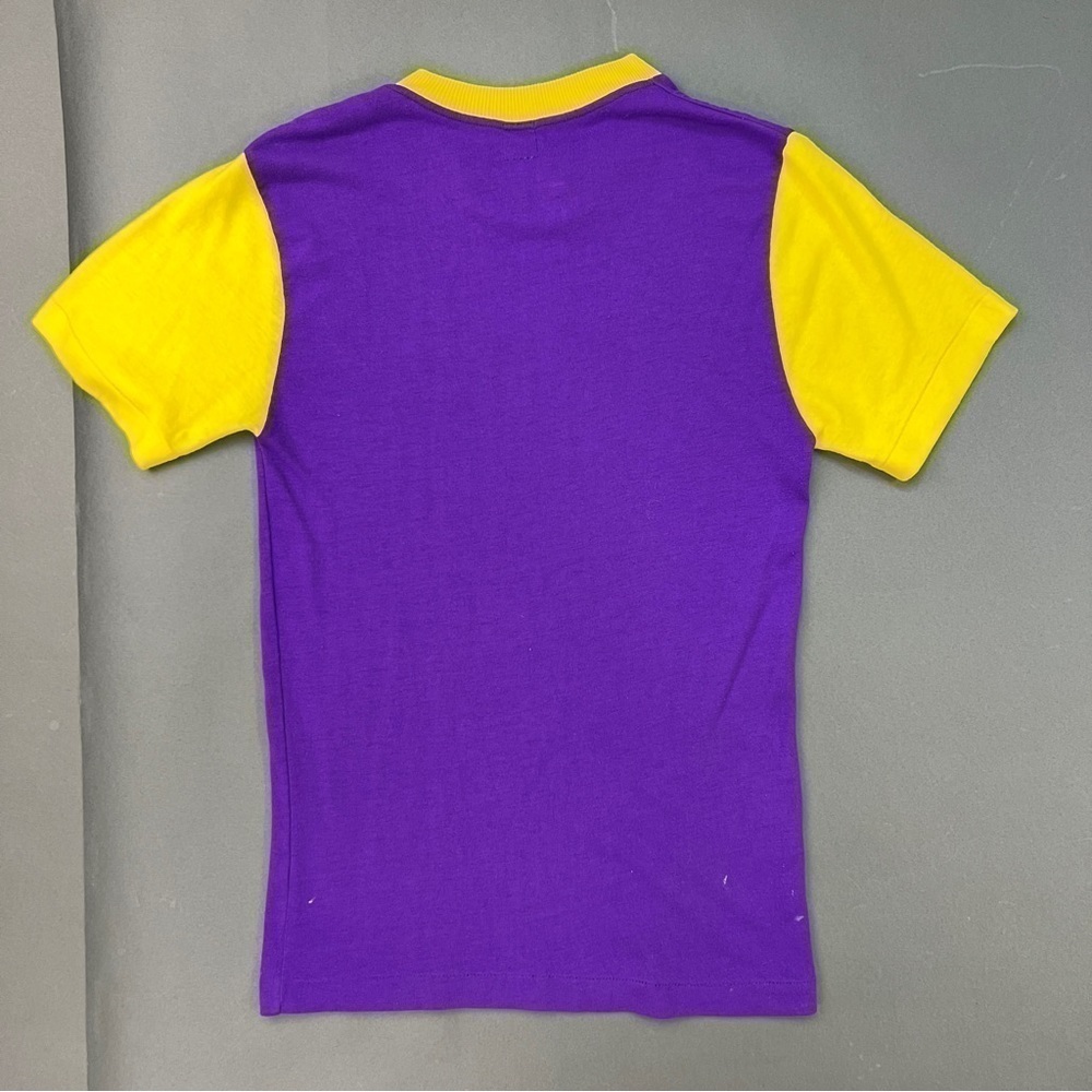 Vintage 1980s Single Stitched Graphic Color Blocked Tee Shirt 🍇 🍋 - Picture 2 of 7